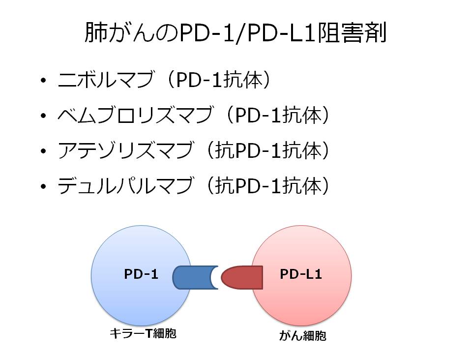 肺がんのPD-1/PD-L1阻害薬。ニボルマブ（PD-1抗体） ベムブロリズマブ（PD-1抗体） アテゾリズマブ（抗PD-1抗体） デュルパルマブ（抗PD-1抗体）